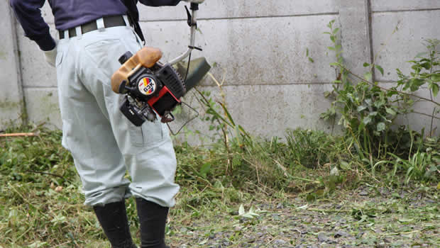 山形片付け110番の草刈りサービス