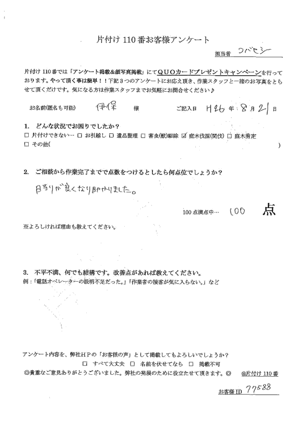 シマトネリコの木伐採 伊保さま(女性)