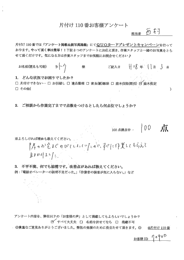 隣の家まで伸びてしまっていたヒイラギ剪定希望